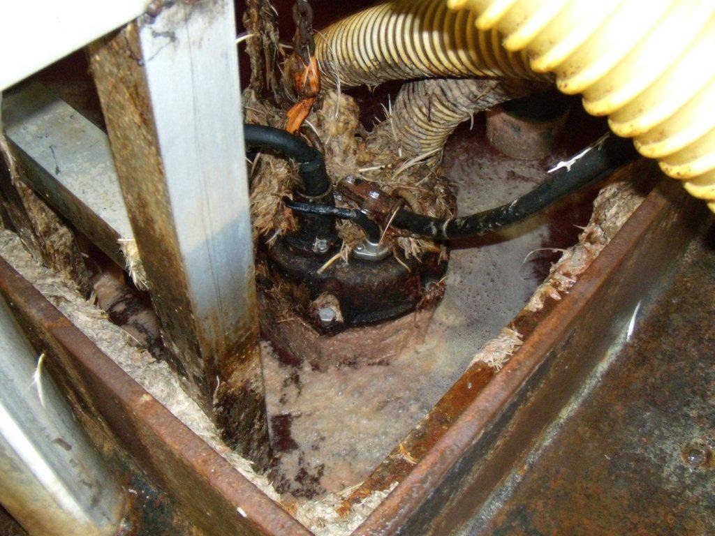 BJM Pumps® - Reliable Offal Management: Submersible Shredder Pumps Replace AODDs at Arkansas Plant