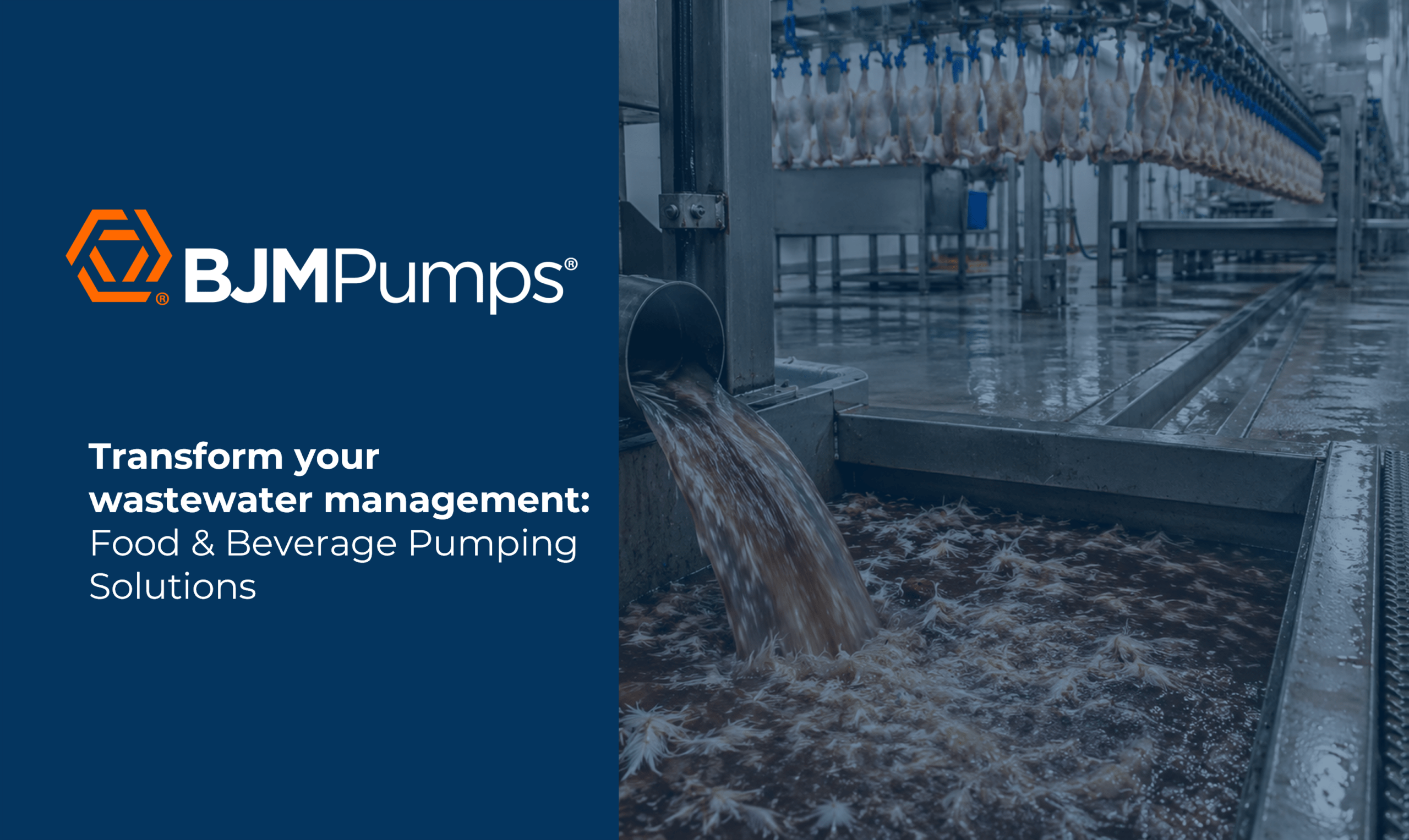 Food & Beverage Pumping Solutions